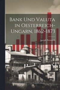bokomslag Bank und Valuta in Oesterreich-Ungarn, 1862-1873