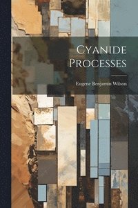 bokomslag Cyanide Processes