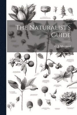 bokomslag Naturalist's Guide