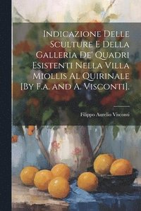 bokomslag Indicazione Delle Sculture E Della Galleria De' Quadri Esistenti Nella Villa Miollis Al Quirinale [By F.a. and A. Visconti].
