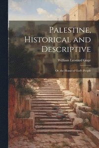 bokomslag Palestine, Historical and Descriptive; Or, the Home of God's People