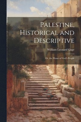 bokomslag Palestine, Historical and Descriptive; Or, the Home of God's People