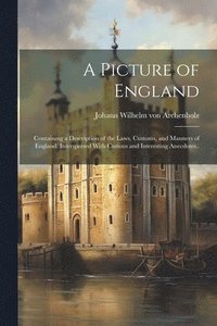 bokomslag Picture of England