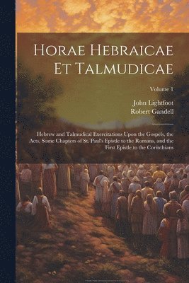 bokomslag Horae Hebraicae et Talmudicae