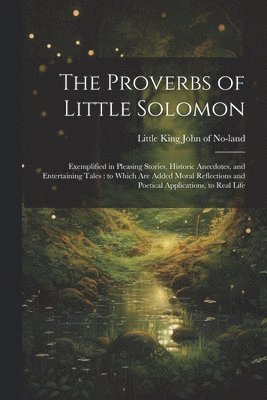 bokomslag Proverbs of Little Solomon