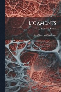 bokomslag Ligaments; Their Nature and Morphology