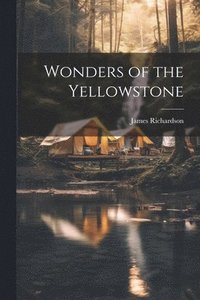 bokomslag Wonders of the Yellowstone