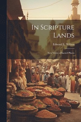 In Scripture Lands 1