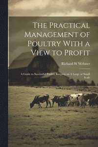 bokomslag The Practical Management of Poultry With a View to Profit