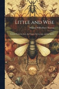 bokomslag Little and Wise; Lessons From the Ants, the Conies, the Locusts, and the Spider