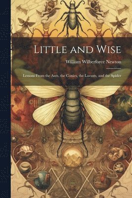 Little and Wise; Lessons From the Ants, the Conies, the Locusts, and the Spider