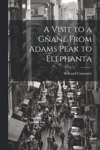 bokomslag A Visit to a Gani. From Adams Peak to Elephanta