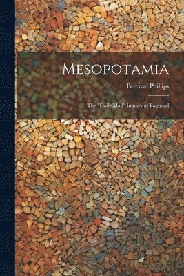 bokomslag Mesopotamia; the "Daily Mail" Inquiry at Baghdad