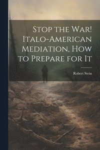 bokomslag Stop the war! Italo-American Mediation, how to Prepare for It