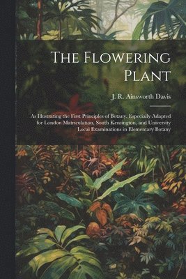 The Flowering Plant 1