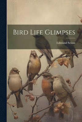 Edmund Selous - Bird Life Glimpses, Häftad