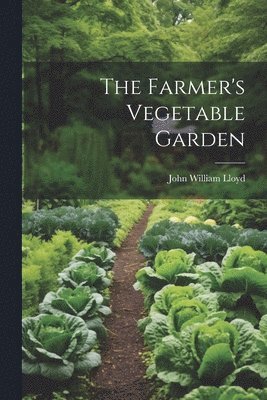 Farmer's Vegetable Garden