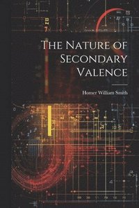 bokomslag The Nature of Secondary Valence
