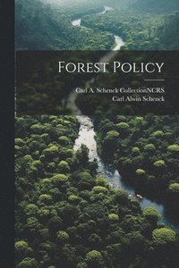 bokomslag Forest Policy