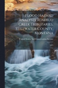 bokomslag Flood Hazard Analyses Rosebud Creek Tributaries, Stillwater County, Montana