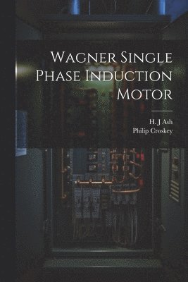 Wagner Single Phase Induction Motor 1