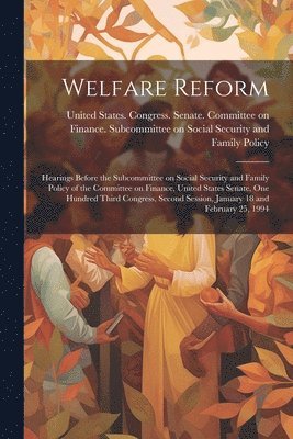 bokomslag Welfare Reform