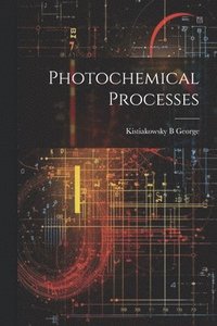 bokomslag Photochemical Processes