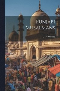 bokomslag Punjabi Musalmans