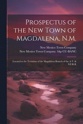 Prospectus of the new Town of Magdalena, N.M. 1