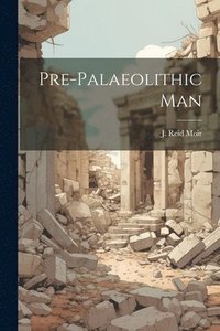 bokomslag Pre-palaeolithic Man