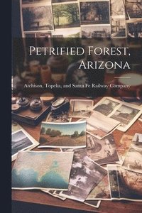 bokomslag Petrified Forest, Arizona