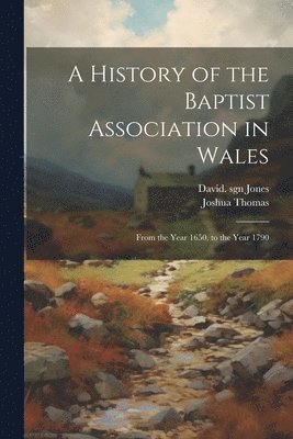 bokomslag A History of the Baptist Association in Wales