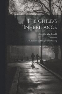 bokomslag Child's Inheritance