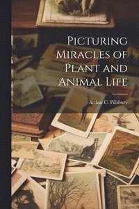bokomslag Picturing Miracles of Plant and Animal Life