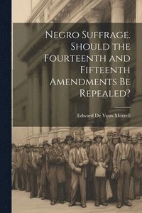 bokomslag Negro Suffrage. Should the Fourteenth and Fifteenth Amendments be Repealed?