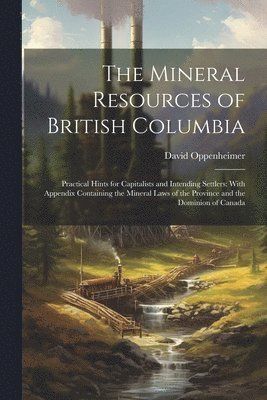 bokomslag Mineral Resources of British Columbia