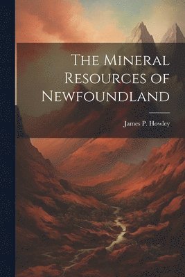 bokomslag The Mineral Resources of Newfoundland