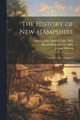 bokomslag The History of New-Hampshire