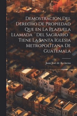 Demostracion del Derecho de Propiedad que en la Plazuela llamada ]Del Sagrario] tiene la santa iglesia Metropolitana de Guatemala 1