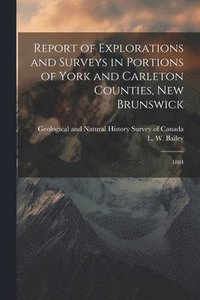 bokomslag Report of Explorations and Surveys in Portions of York and Carleton Counties, New Brunswick