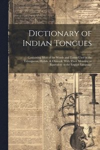 bokomslag Dictionary of Indian Tongues
