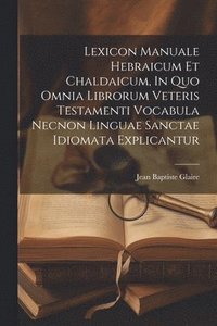 bokomslag Lexicon Manuale Hebraicum Et Chaldaicum, In Quo Omnia Librorum Veteris Testamenti Vocabula Necnon Linguae Sanctae Idiomata Explicantur