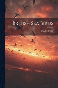 bokomslag British Sea Birds