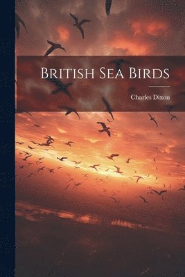 British Sea Birds 1