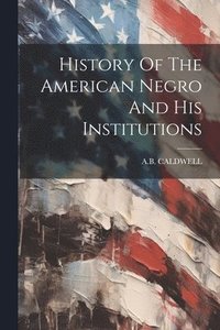 bokomslag History Of The American Negro And His Institutions