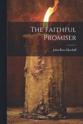 bokomslag The Faithful Promiser