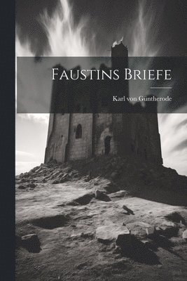 bokomslag Faustins Briefe