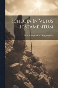 bokomslag Scholia In Vetus Testamentum