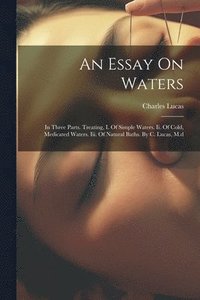 bokomslag An Essay On Waters