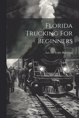 bokomslag Florida Trucking For Beginners